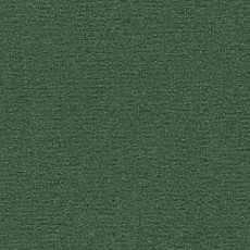 Ковролин Radici Nexus Foresta 8222 фото 1 | FLOORDEALER